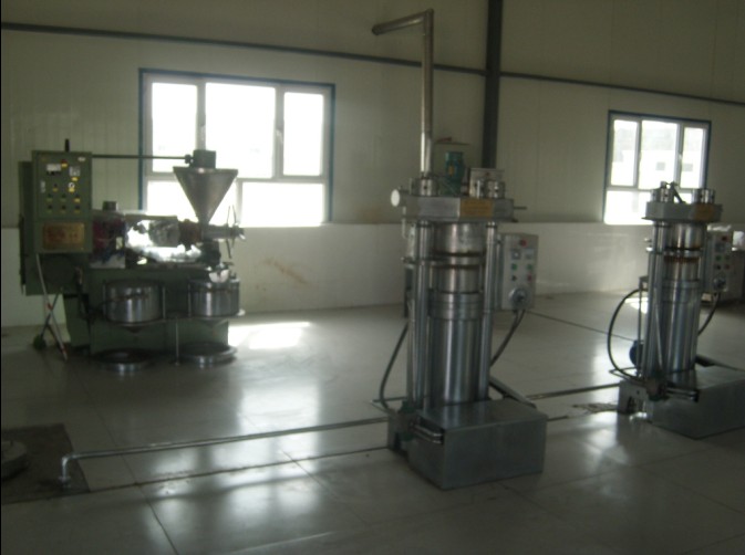 С��ե�͙C(j��)���a(ch��n)�F(xi��n)��