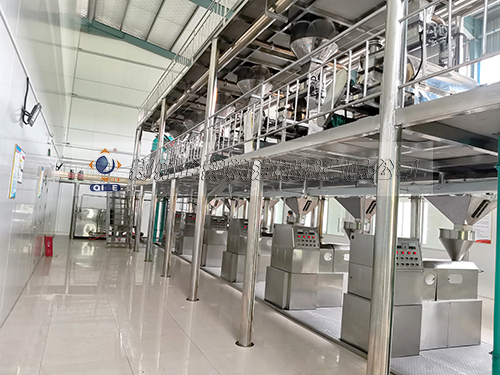 �����͉�ե�O��